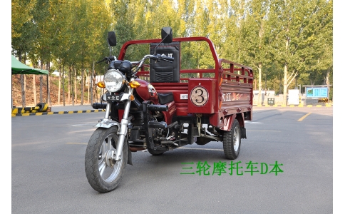 初學/增駕三輪摩托車駕照D本