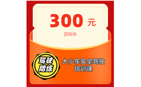 大小車安全駕駛陪練